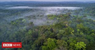 as-medidas-para-evitar-que-el-nino-provoque-‘hecatombe’-na-amazonia