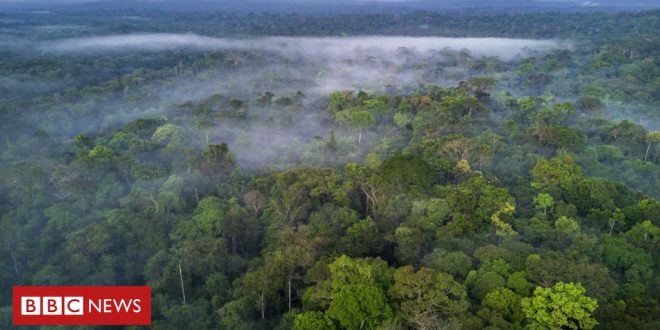 as-medidas-para-evitar-que-el-nino-provoque-‘hecatombe’-na-amazonia