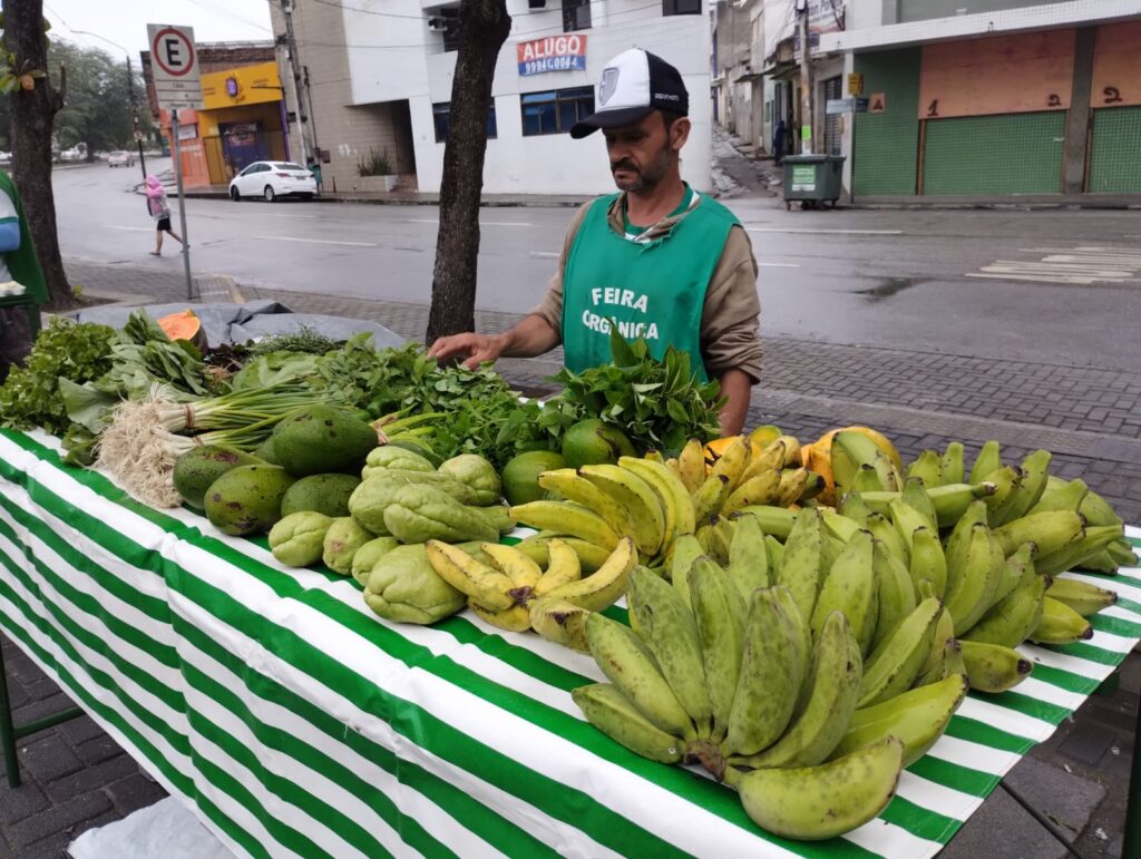 caruaru-recebe-o-festival-terra-mae-de-todas-de-lutas