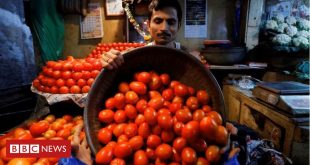 por-que-mcdonald’s-retirou-tomates-do-menu-na-india