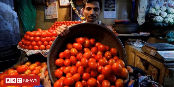 por-que-mcdonald’s-retirou-tomates-do-menu-na-india