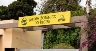 jardim-botanico-do-recife-encerra-programacao-gratuita-de-ferias-com-atividades-ambientais