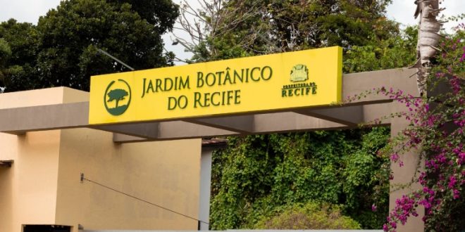 jardim-botanico-do-recife-encerra-programacao-gratuita-de-ferias-com-atividades-ambientais