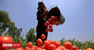 o-impacto-do-el-nino-na-producao-global-de-alimentos