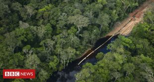 como-exploracao-de-petroleo-na-amazonia-divide-paises-as-vesperas-de-cupula-convocada-por-lula