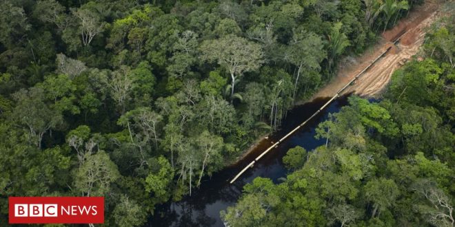 como-exploracao-de-petroleo-na-amazonia-divide-paises-as-vesperas-de-cupula-convocada-por-lula