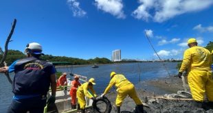 prefeitura-do-recife-retira-estruturas-que-serviam-para-criacao-irregular-de-animais-em-area-de-mangue