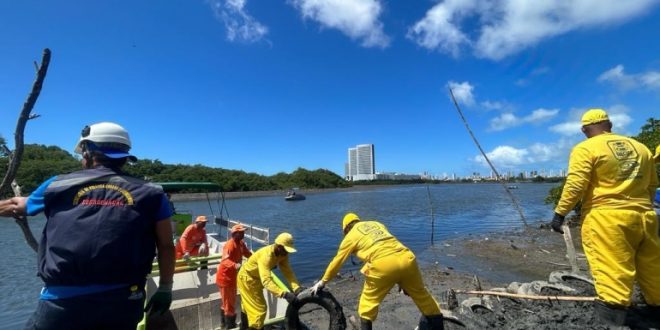 prefeitura-do-recife-retira-estruturas-que-serviam-para-criacao-irregular-de-animais-em-area-de-mangue