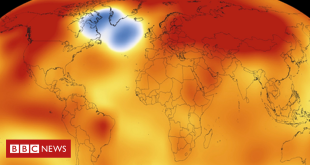 o-que-e-a-‘bolha’-que-esfria-no-atlantico-enquanto-o-resto-do-oceano-esquenta