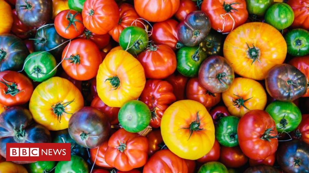 os-beneficios-do-tomate-para-a-saude