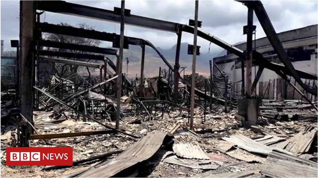 incendios-florestais-no-havai:-‘ainda-ha-cadaveres-flutuando-na-agua’