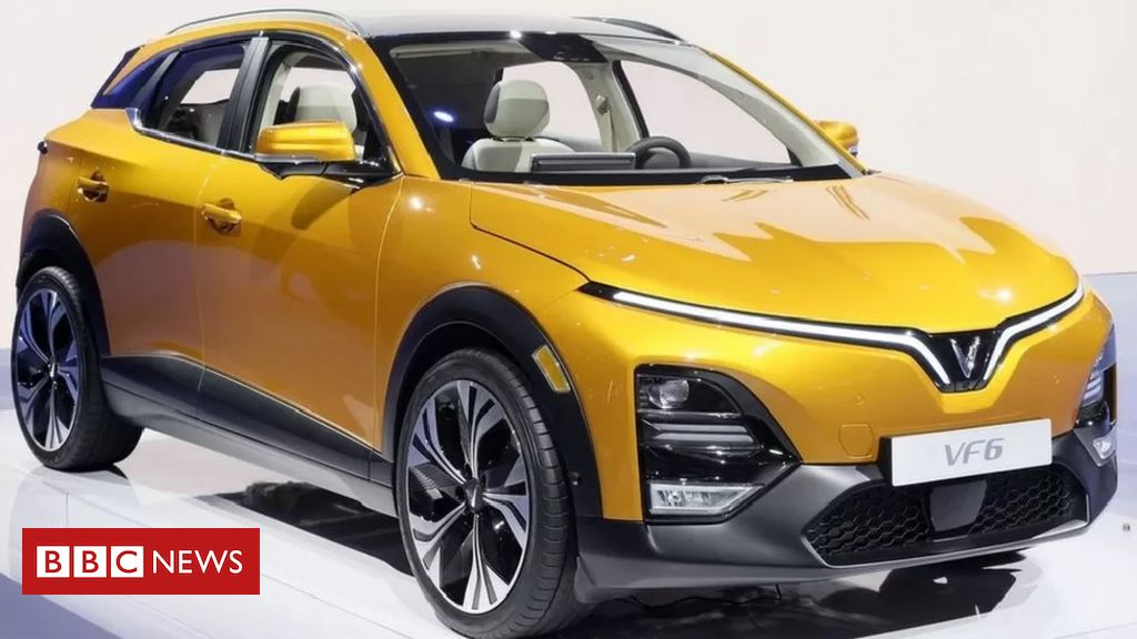 a-fabricante-de-carros-eletricos-do-vietna-que-vale-quase-o-dobro-de-gm-e-volks-mesmo-sem-dar-lucro