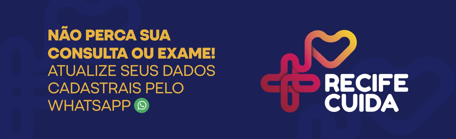 prefeitura-do-recife-lanca-edital-para-cadastrar-ongs-e-protetores-independentes-de-animais