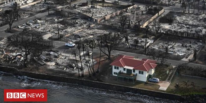 havai:-a-historia-da-casa-que-sobreviveu-a-incendio-e-viralizou