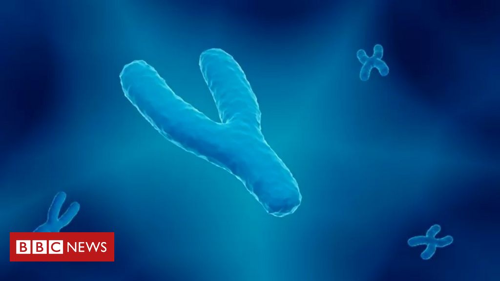 o-que-primeiro-sequenciamento-completo-do-‘estranho’-cromossomo-y-revela-sobre-genetica-dos-homens