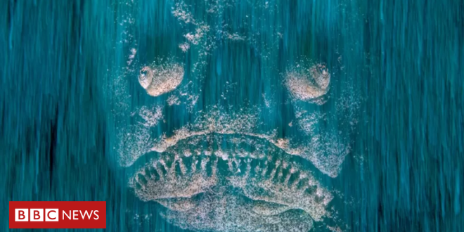 peixe-ou-rosto-fantasmagorico?-as-fotos-vencedoras-de-premio-sobre-vida-selvagem