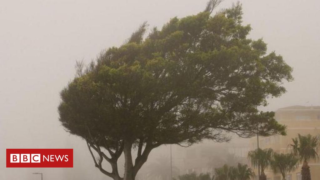ciclone-extratropical:-entenda-fenomeno-que-causou-mortes-e-alerta-vermelho-no-rs