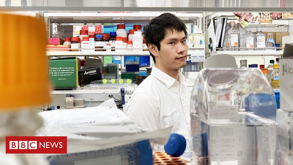 como-inteligencia-artificial-pode-ajudar-na-busca-pela-imortalidade