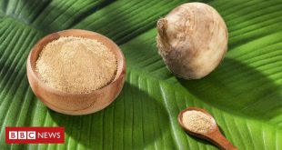 maca-peruana-e-afrodisiaca?-o-que-se-sabe-sobre-efeitos-do-produto