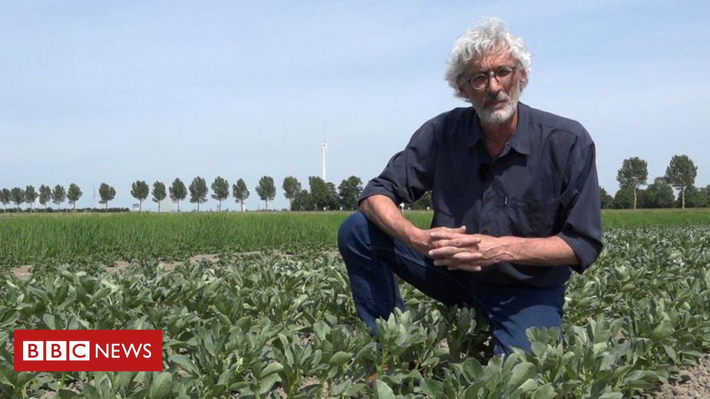 ‘agro-do-futuro’-tem-lavouras-resistentes-a-secas-–-e-nao-usa-combustiveis-fosseis