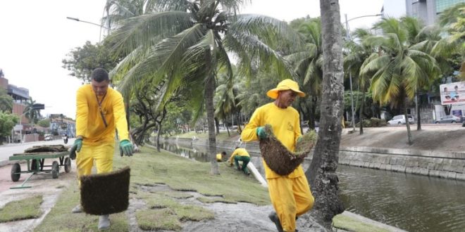 prefeitura-do-recife-implanta-novo-projeto-de-paisagismo-na-agamenon-magalhaes