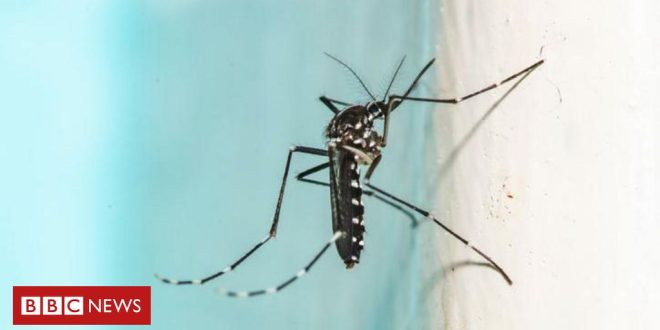 olimpiadas-2024:-franca-recorre-a-fumace-apos-aumento-de-dengue,-chikungunya-e-zika