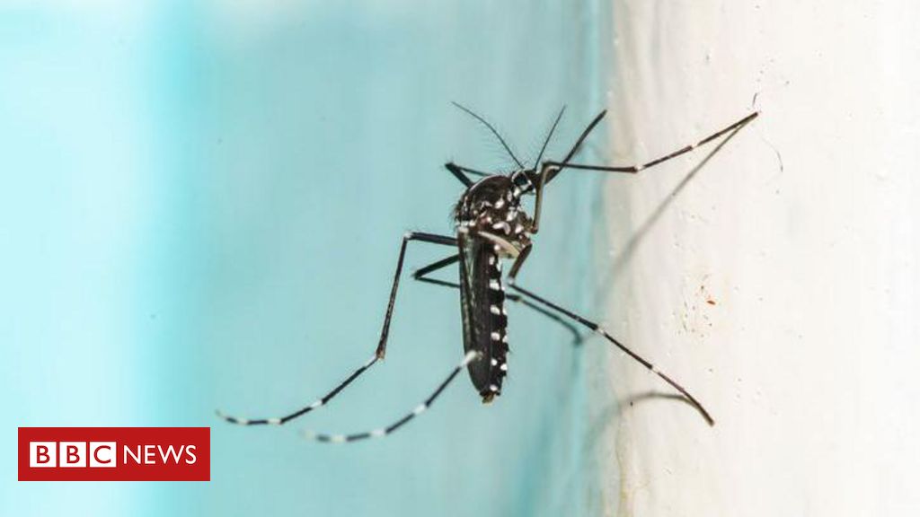 olimpiadas-2024:-franca-recorre-a-fumace-apos-aumento-de-dengue,-chikungunya-e-zika