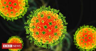 nipah:-quais-sao-as-chances-de-virus-mortal-chegar-ao-brasil-ou-causar-nova-pandemia?