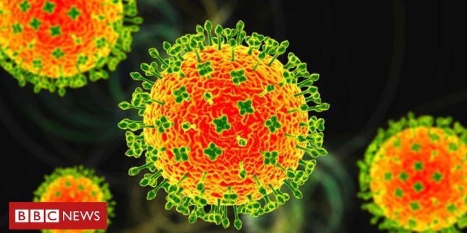 nipah:-quais-sao-as-chances-de-virus-mortal-chegar-ao-brasil-ou-causar-nova-pandemia?