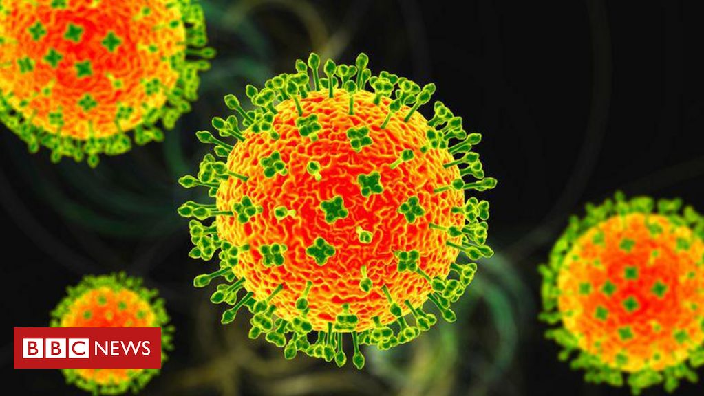 nipah:-quais-sao-as-chances-de-virus-mortal-chegar-ao-brasil-ou-causar-nova-pandemia?