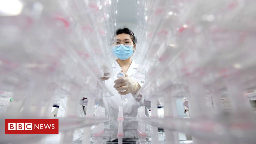 como-o-darwinismo-pode-mudar-tratamentos-contra-cancer-e-superbacterias