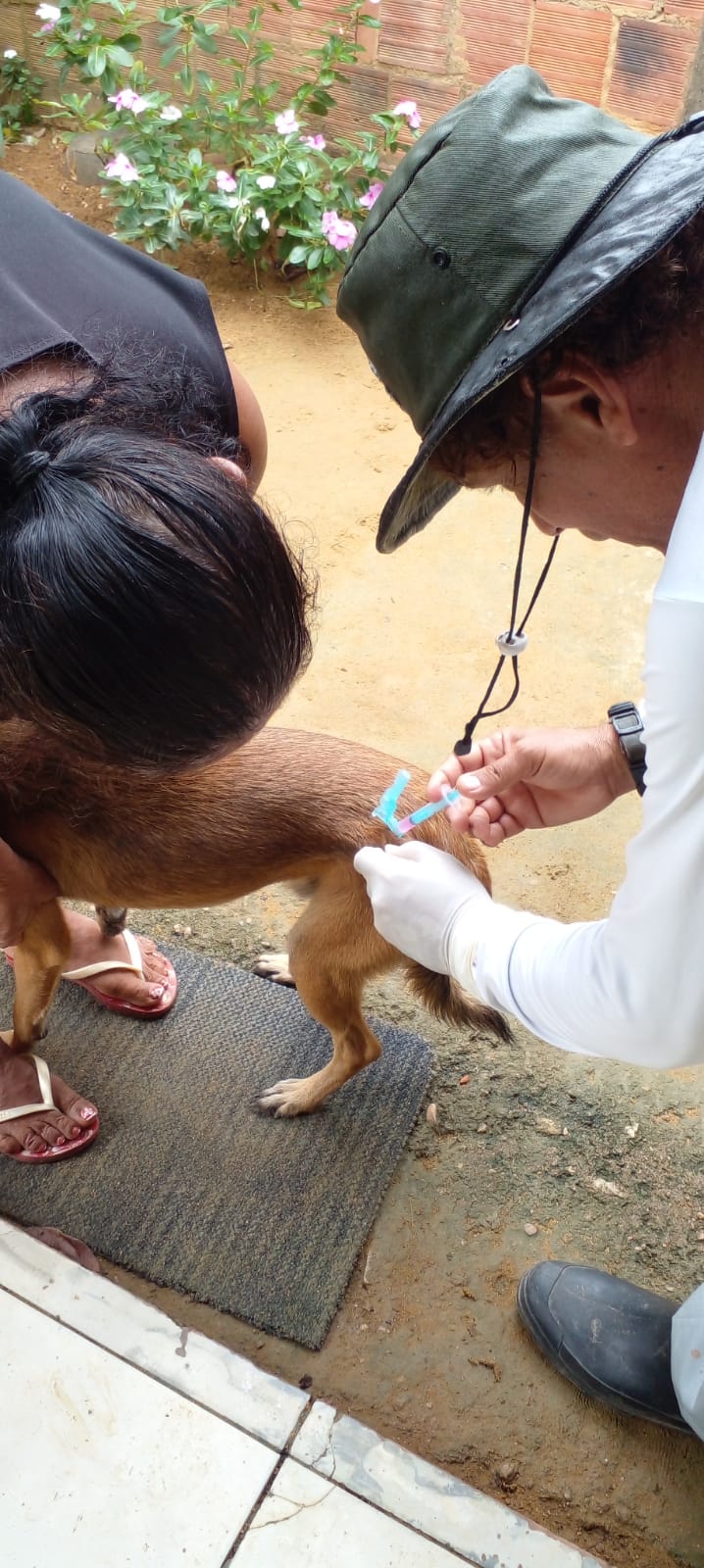 olinda-inicia-mutirao-porta-a-porta-de-vacinacao-antirrabica-na-base-rural