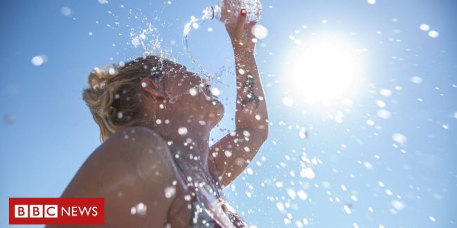 onda-de-calor:-o-que-acontece-com-o-corpo-quando-somos-expostos-a-temperaturas-extremas