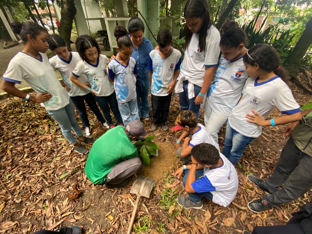 dia-da-arvore-tem-programacao-especial-na-mata-do-passarinho;-palestras,-plantio-de-mudas-e-trilhas-ecologicas-sao-destaque