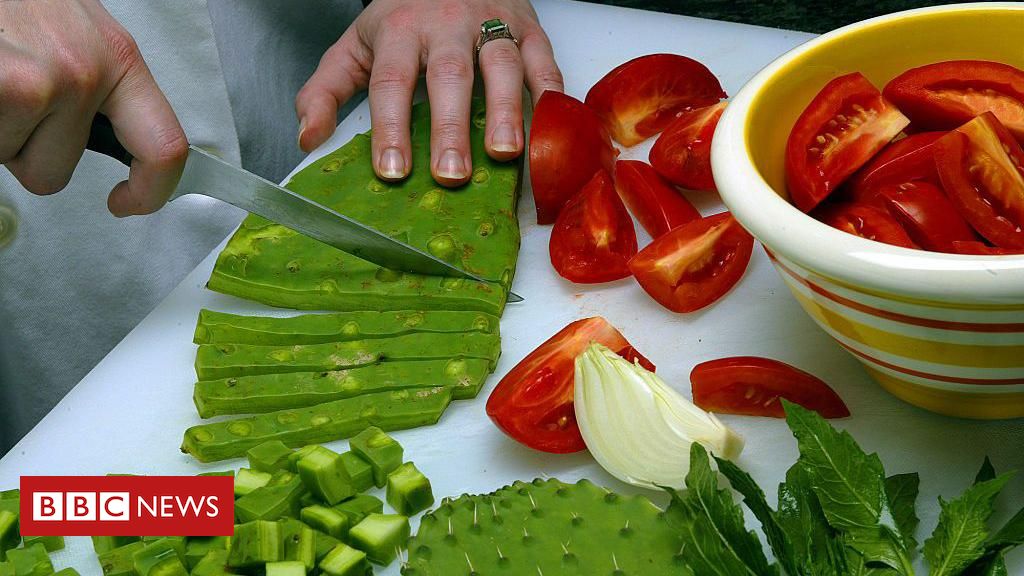 o-‘superalimento’-comido-no-mexico-desde-os-astecas-—-e-que-no-brasil-virou-racao