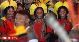 63%-vivem-em-terras-nao-oficializadas:-o-panorama-da-populacao-indigena-em-4-graficos