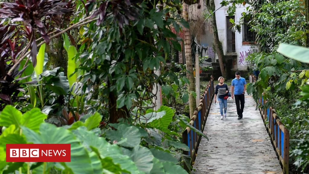 os-‘corredores-verdes’-de-medellin-para-combater-calor-extremo
