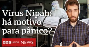 nipah:-quais-sao-as-chances-de-virus-mortal-chegar-ao-brasil-ou-causar-nova-pandemia?