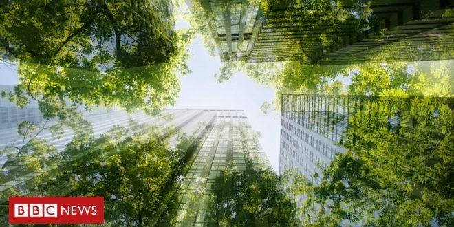 florestas-urbanas-podem-ser-solucao-para-combater-ondas-de-calor-em-grandes-cidades?