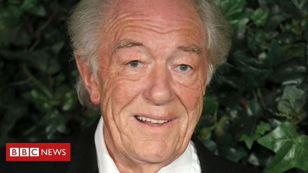 michael-gambon,-o-‘dumbledore’-de-harry-potter,-morre-aos-82-anos