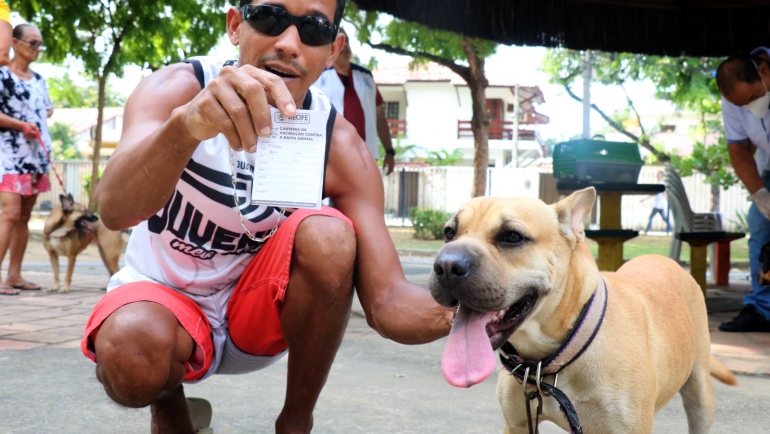 prefeitura-do-recife-inicia-campanha-de-vacinacao-de-caes-e-gatos-contra-a-raiva