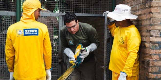 prefeitura-do-recife-da-inicio-a-retirada-dos-animais-do-zoologico-do-parque-treze-de-maio.-o-local-ganhara-uma-praca-da-infancia-tematica