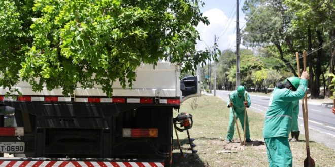 prefeitura-do-recife-realiza-plantio-de-215-arvores-na-avenida-visconde-de-jequitinhonha