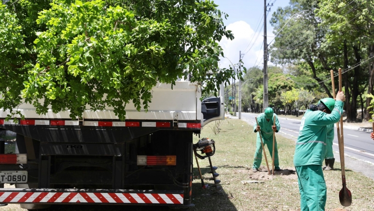 prefeitura-do-recife-realiza-plantio-de-215-arvores-na-avenida-visconde-de-jequitinhonha