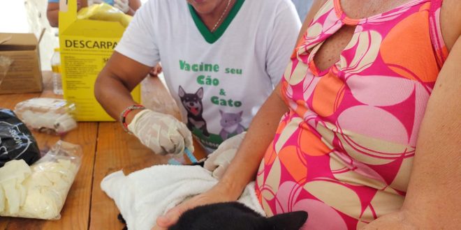mais-de-11-mil-caes-e-gatos-foram-imunizados-contra-raiva-em-olinda