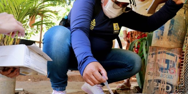 prefeitura-do-recife-promove-dia-d-de-combate-a-dengue-para-conscientizar-a-populacao-sobre-arboviroses