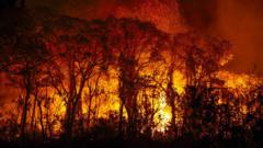 pantanal:-por-que-chuvas-nao-sao-suficientes-para-proteger-bioma-de-fogo-recorde