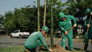 recife-recebe-selo-“cidade-amiga-das-arvores”