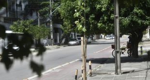 prefeitura-do-recife-reforca-arborizacao-no-bairro-da-imbiribeira,-na-zona-sul