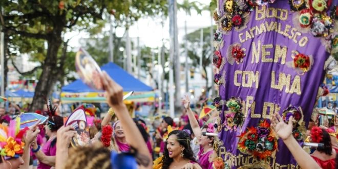 bloco-nem-com-uma-flor-desfila-pelas-ruas-do-recife-pedindo-o-fim-da-violencia-contra-a-mulher